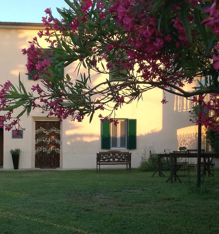 Monica appartamenti San Vincenzo